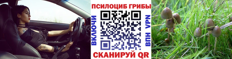 как найти закладки  Островной  darknet как зайти  Псилоцибиновые грибы прущие грибы 
